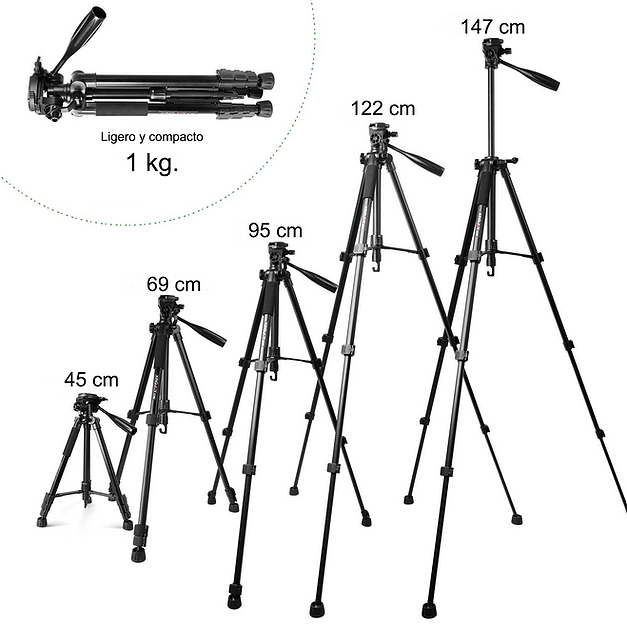 206d30_21f3fe94114645ea9601217c7d0adb48~mv2