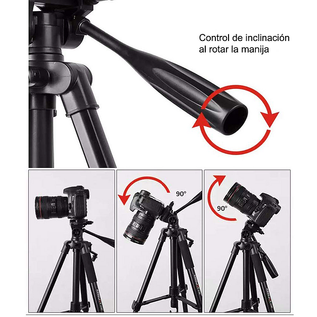 206d30_0a98a3d5062846f28353d931276149f7~mv2