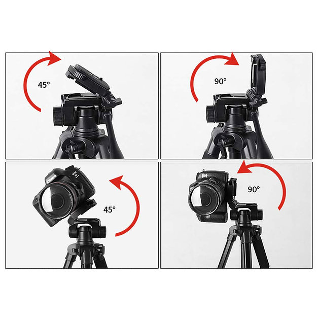 206d30_0446f432df5f4501aacf632b4f1b8840~mv2