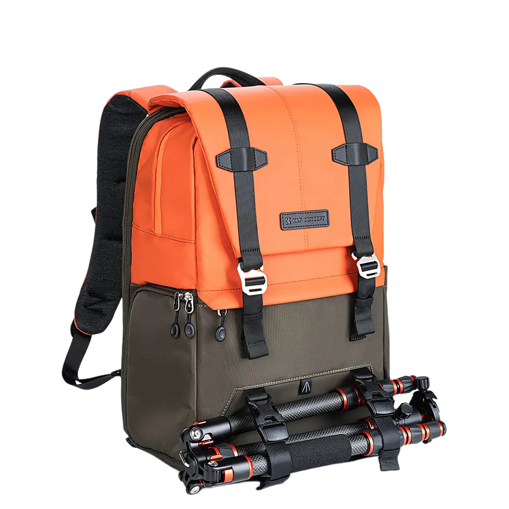 114D4503-157C-4196-931D-BB7AA128E34D