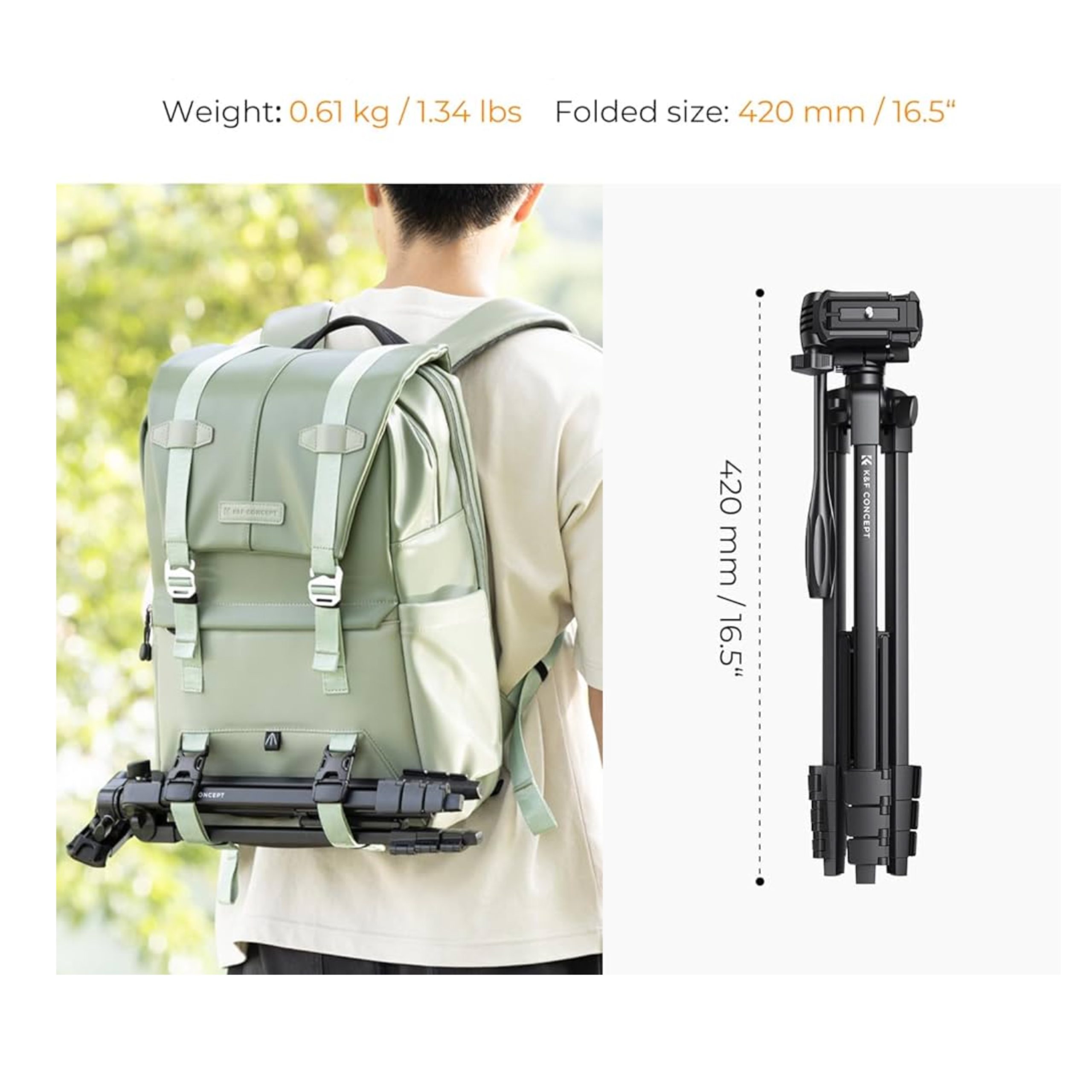 D24211A8-7C11-449E-9A11-E2F662FAA89B