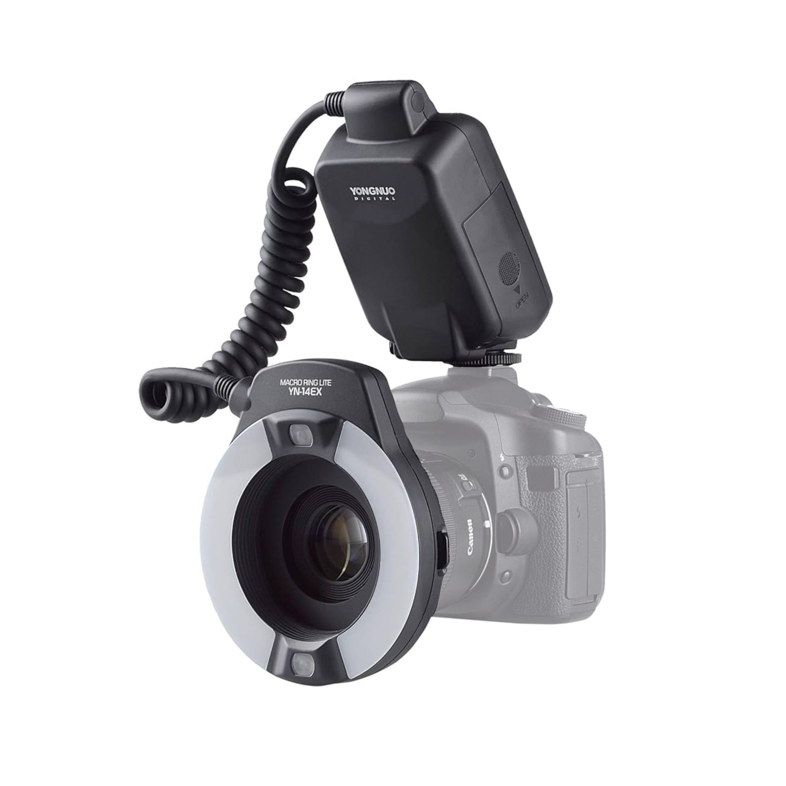 48150C77-7282-4A4C-9DB3-84CC10FD9156